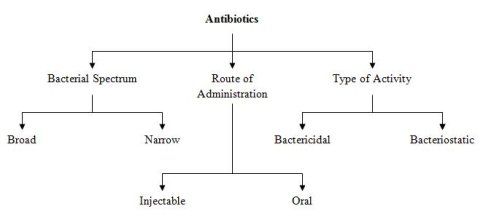 A common scheme of classifications for antibiotics