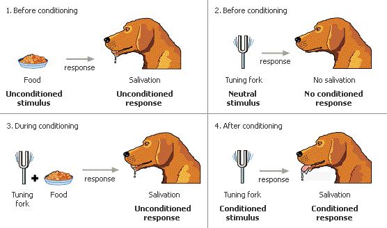 Classical Conditioning