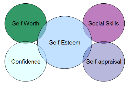 Convergent Validity