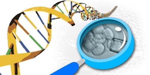 DNA Research