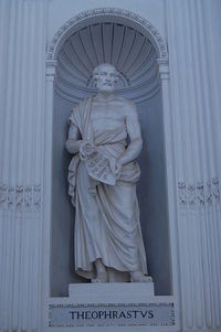 Theophrastes - Orto Botanico - Ancient greek philosopher and botanist